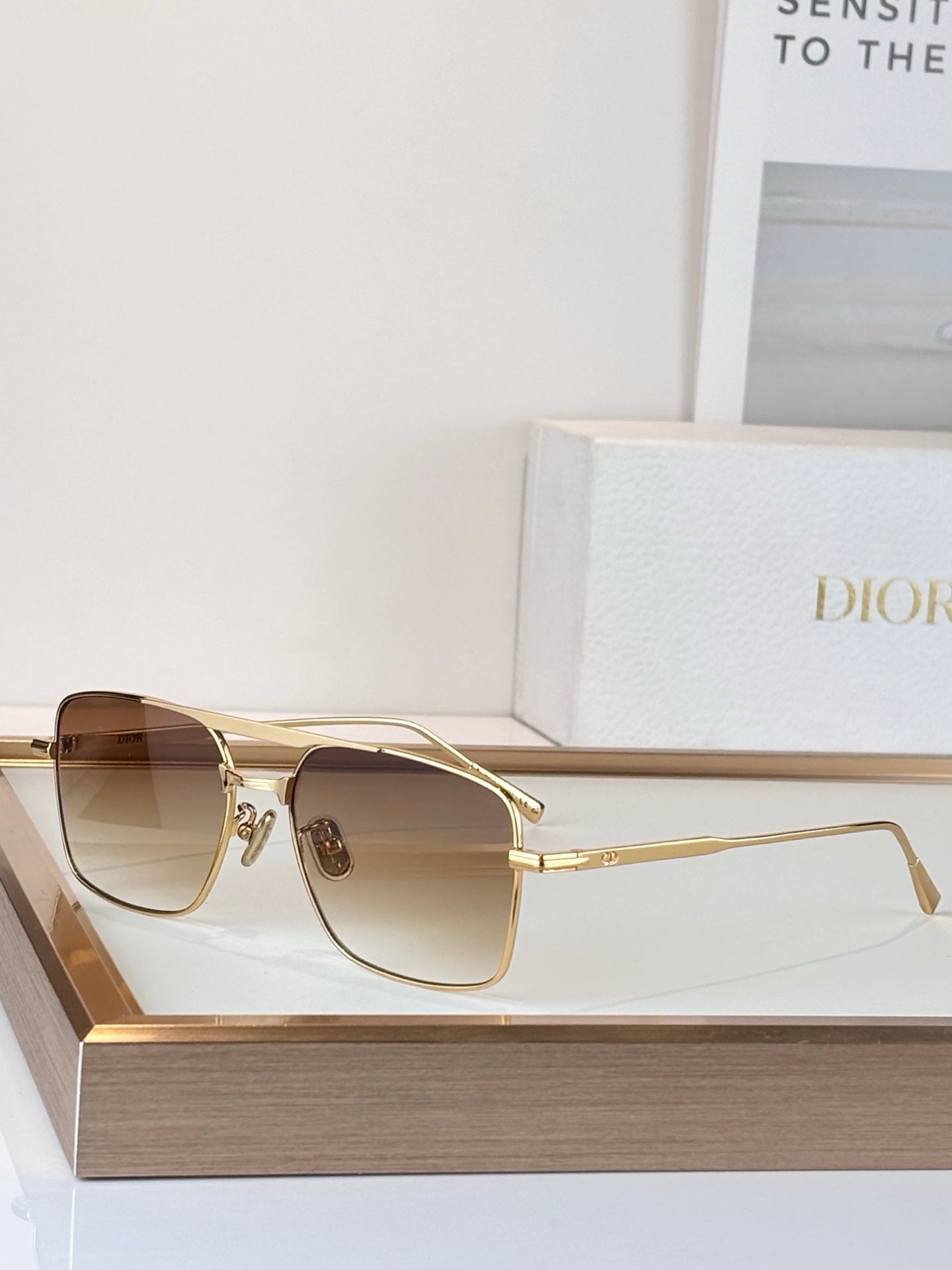 Dior Sunglasses-DIORBLACKSUIT s17U